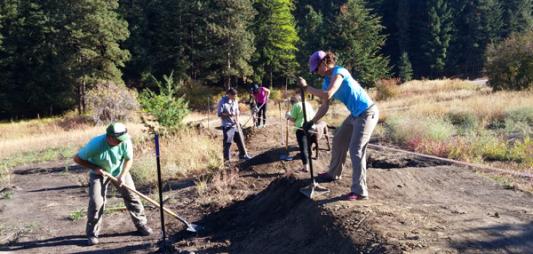 Volunteer with Evergreen